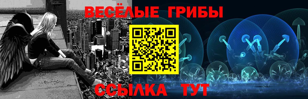 Бирск  Псилоцибиновые грибы Psilocybine cubensis  Вход с VPN  Псилоцибиновые грибы мицелий 